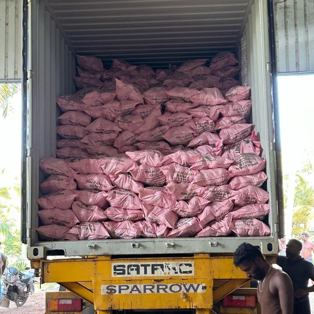 Coconut Export Packing
