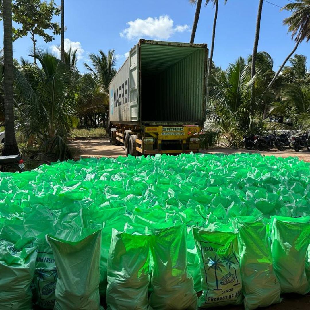 Coconut Export Packing