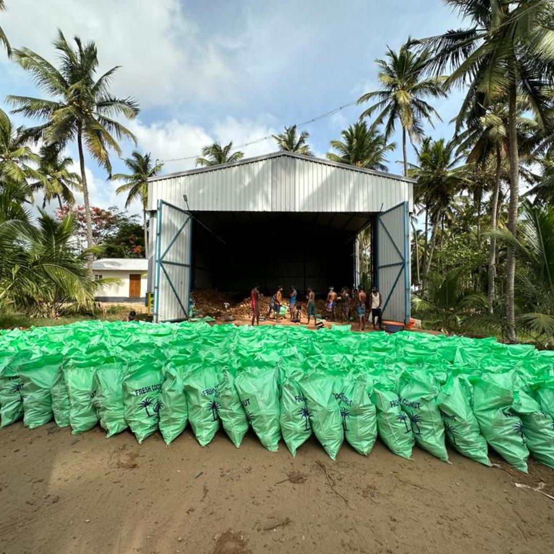 Factory with Green Bags