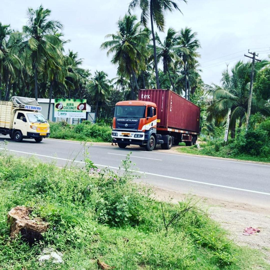 Coconut Export Packing
