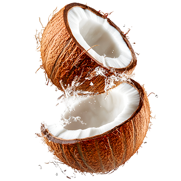 Export Quality Semi Husked Coconut Supplier in Pollachi
