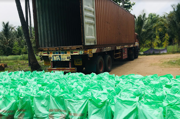 Semi Husked Coconut Supplier in Pollachi